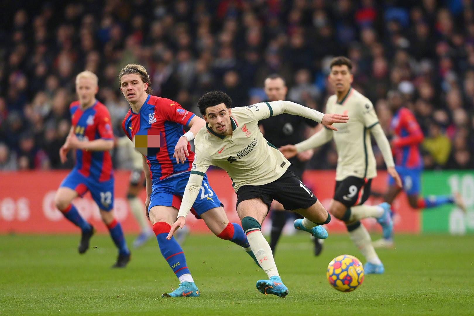 室内的精神 室内的精神